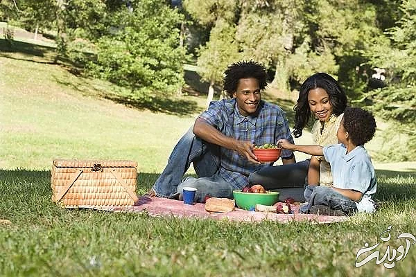  پیک نیک رفتن